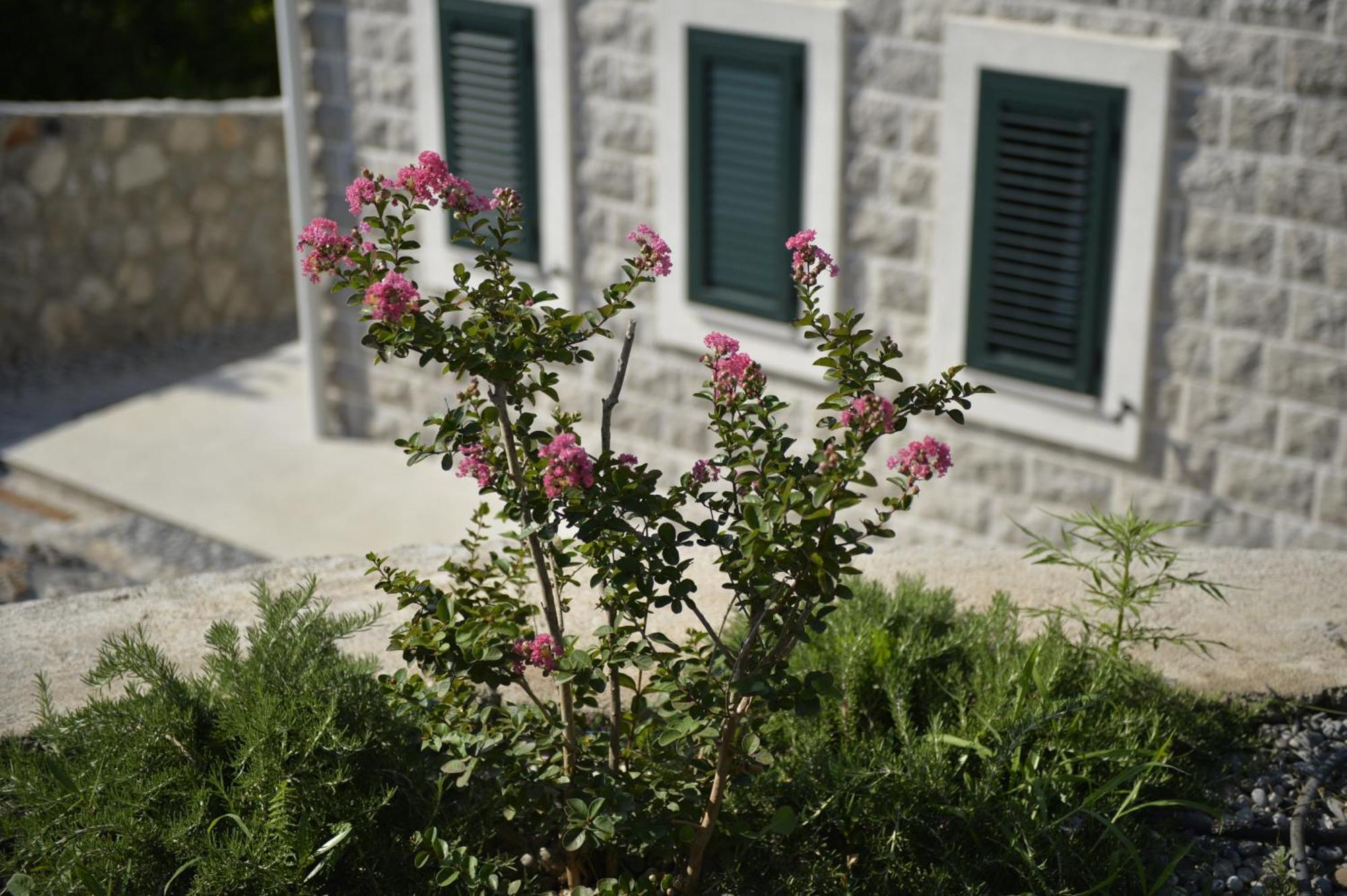 Villa Vista Azzurra Tivat Dış mekan fotoğraf
